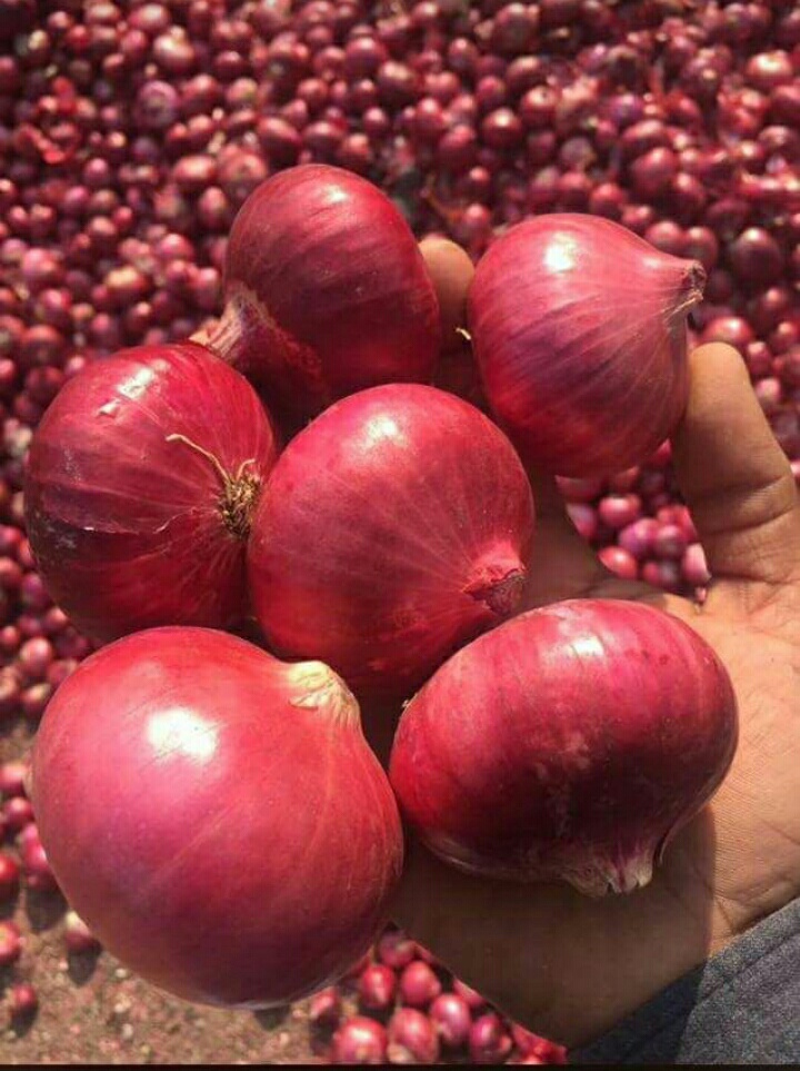 Red onion